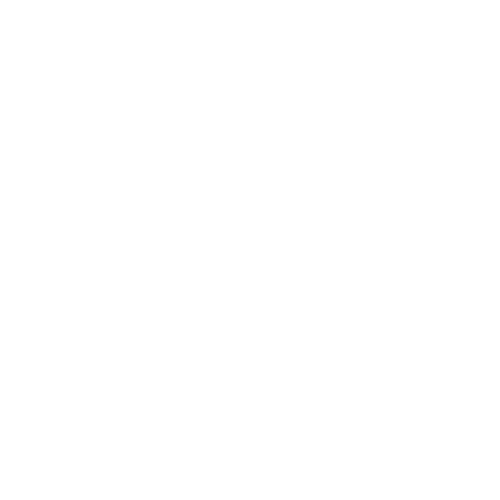 Lessons from first-wave reporters_ what worked, what didn’t