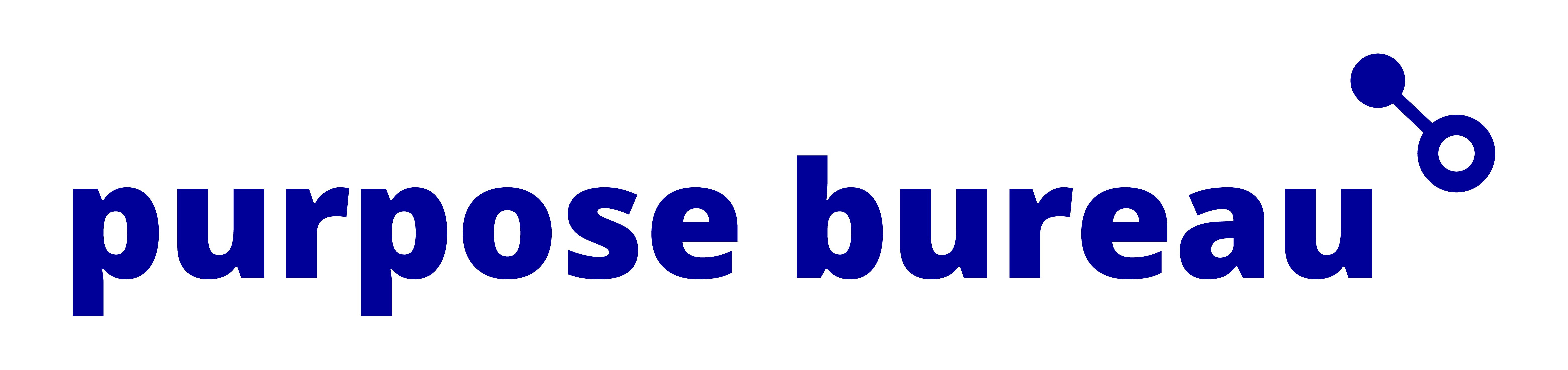 Insights Partner